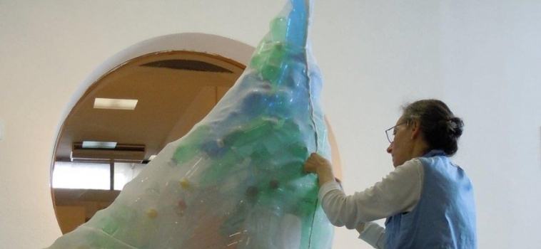 Una balena nel Museo del Marmo di Carrara